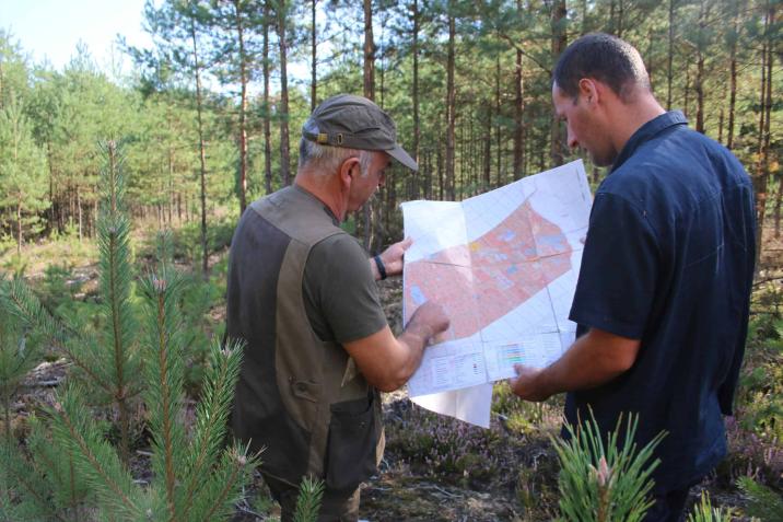 foto. Ewelina Fabiańczyk/ zielonagora.lasy.gov.pl