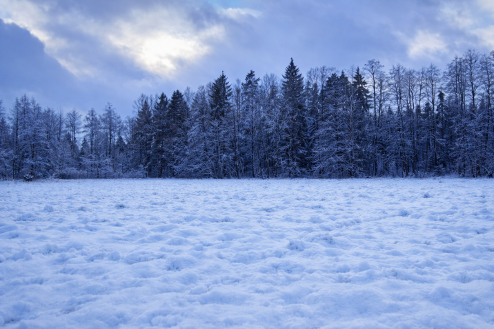 Foto: Anna Galińska