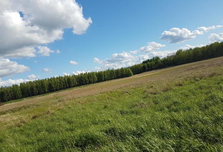 Foto: Milena Rudnicka, Nadleśnictwo Orneta