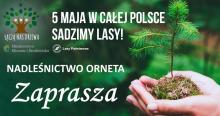 W całej Polsce 5 maja sadzimy lasy.