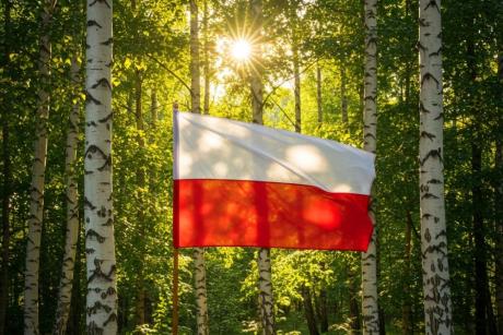 OGŁOSZENIE